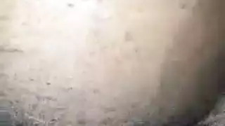 مواخر كبير سوداء