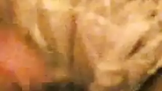 حليب الحمار العبادة طحن