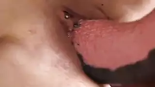 نيك مزرعة قذر: قضيب حيواني يغتصب ربة منزل وحيدة