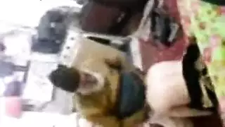 شيخ ينيك سعدي