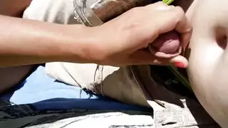 اميرانوراي